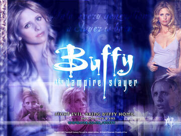 219.jpg